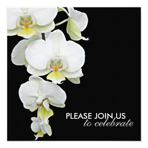 Elegant White Orchids Wedding/Any-Occasion Invites
