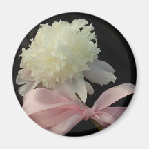 Elegant White Peony Refrigerator Magnets