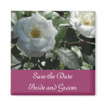 Elegant White Rose Save the Date Magnets