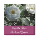 Elegant White Rose Save the Date magnets