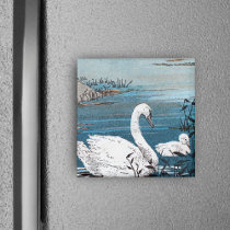 Elegant White Swan With Baby magnets