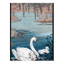 Elegant White Swan With Baby Post Card