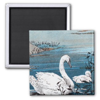 Elegant White Swan With Baby Refrigerator Magnets