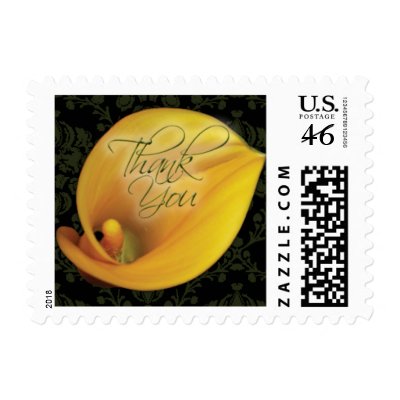 Elegant Yellow Calla Lily Thank You Small Postage by twoheartsshoppe