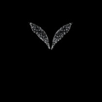 Eleganta: A novel of Fairykind  wings t-shirt