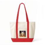 ELEGGUA BY THE DOOR bags