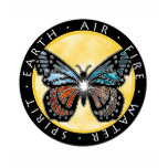 Element Butterfly Shirts