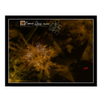 Elements-Earth posters