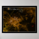 Elements-Earth Print