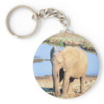 Elephant Africa Key Chains
