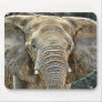 Elephant African All Ears Mousepads