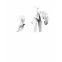 Elephant African Body t-shirts by edunLIVE Elephant African Body t-shirts
