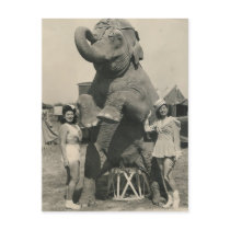 elephant and 2 girls circus postcards