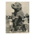 elephant and 2 girls circus posters
