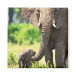 Elephant and Baby Fridge Magnet