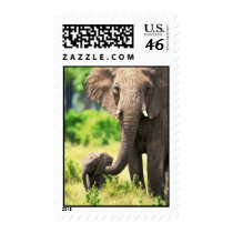 Elephant and Baby Postage Stamps