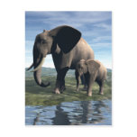 Elephant and Baby Postcard