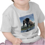 Elephant and Baby T-shirt