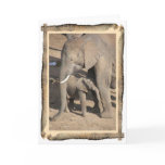 Elephant and Calf Card (Elephant Trunk Frame)