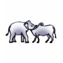 ELEPHANT AND OX t-shirts