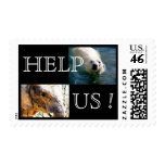 Elephant and Polar Bear Postage Stamp