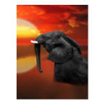 Elephant at the lake postcards
