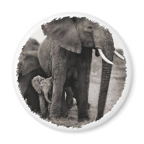 Elephant & Baby Elephant magnets by mysticillusions Elephant & Baby Elephant magnets
