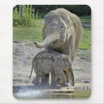 Elephant Baby Gets Shower Mousepad