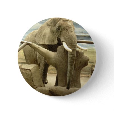 Elephant Beauty Button