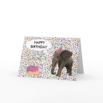 Elephant Birthday cards
