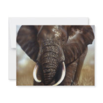 Elephant Bull Prints Invitations