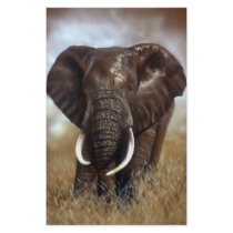Elephant Bull Prints Stationery by craighbarber Elephant Bull Prints Stationery