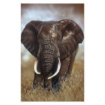 Elephant Bull Prints Stationery