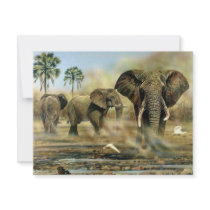 Elephant Bulls Invitations