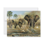 Elephant Bulls Invitations