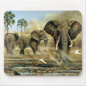 Desert Animals - Elephants