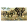 Elephant Bulls Photocards Custom Photo Card