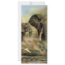 Elephant Bulls Rack Cards rack cards by craighbarber Elephant Bulls Rack Cards rack cards