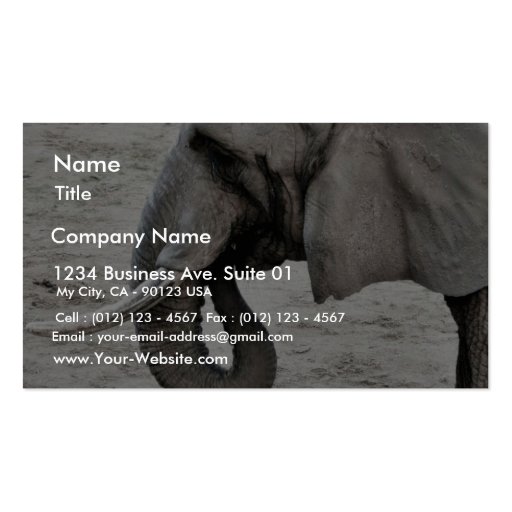 Elephant Business Card Templates (front side)