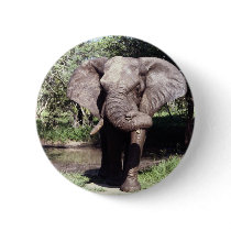 Elephant buttons