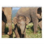 Elephant Calendar for 2011
