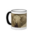 Elephant calendars coffee mugs & cups