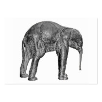 Elephant Calf in Black and White Business Card Template