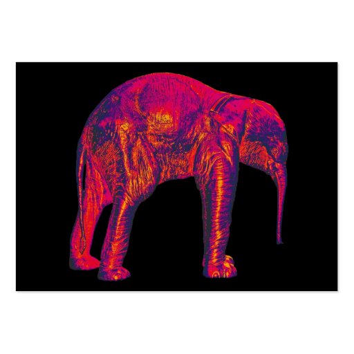 Elephant Calf, Red/Pink, Black Back Business Cards (front side)