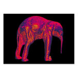 Elephant Calf, Red/Pink, Black Back Business Cards