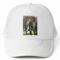 Elephant Cap Hat