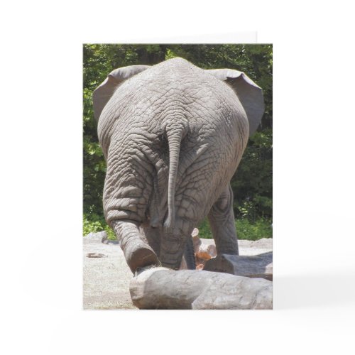 Elephant card