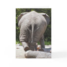 Elephant Card