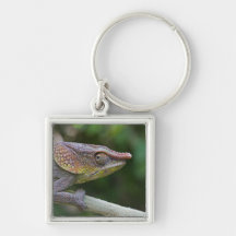 Elephant chameleon, Madagascar Key Chain
