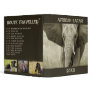 Elephant charge - customizable binders